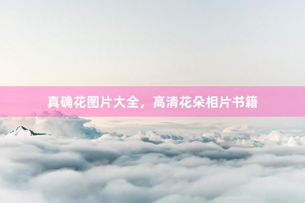 真确花图片大全，高清花朵相片书籍